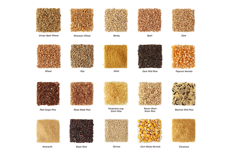 Cereals collection with titles isolated on white background